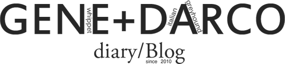 ジーンとダーコのダイアリー／犬ブログ。whippet Gene and Italian greyhound Darco's diary blog since 2010